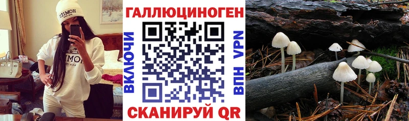 Галлюциногенные грибы GOLDEN TEACHER  Дыгулыбгей 